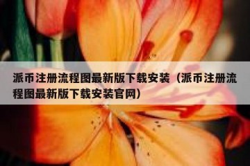 派币注册流程图最新版下载安装（派币注册流程图最新版下载安装官网）