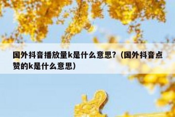 国外抖音播放量k是什么意思?（国外抖音点赞的k是什么意思）