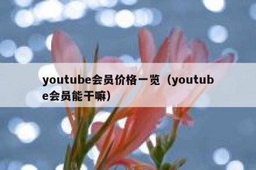youtube会员价格一览（youtube会员能干嘛）