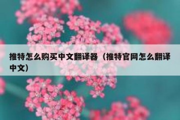 推特怎么购买中文翻译器（推特官网怎么翻译中文）