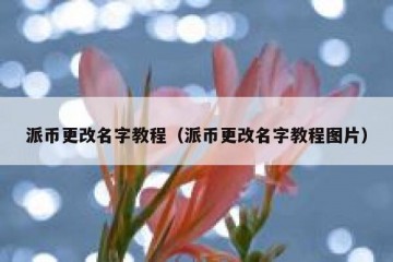 派币更改名字教程（派币更改名字教程图片）