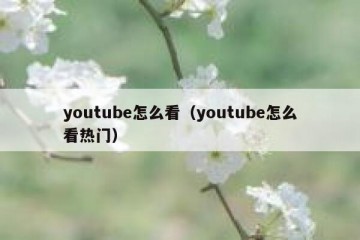 youtube怎么看（youtube怎么看热门）