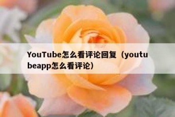 YouTube怎么看评论回复（youtubeapp怎么看评论）