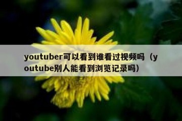 youtuber可以看到谁看过视频吗（youtube别人能看到浏览记录吗）