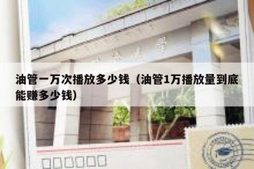 油管一万次播放多少钱（油管1万播放量到底能赚多少钱）