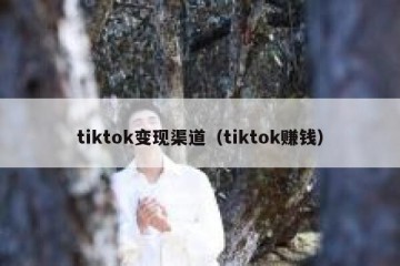 tiktok变现渠道（tiktok赚钱）