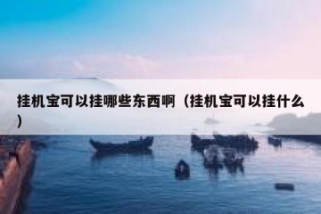 挂机宝可以挂哪些东西啊（挂机宝可以挂什么）