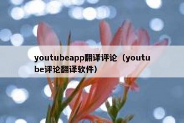 youtubeapp翻译评论（youtube评论翻译软件）