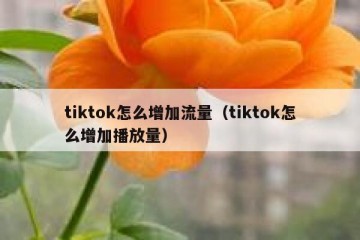 tiktok怎么增加流量（tiktok怎么增加播放量）