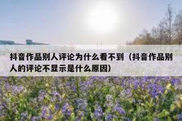 抖音作品别人评论为什么看不到（抖音作品别人的评论不显示是什么原因）