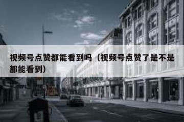 视频号点赞都能看到吗（视频号点赞了是不是都能看到）
