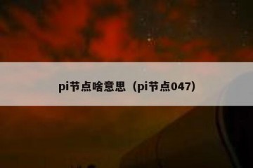 pi节点啥意思（pi节点047）