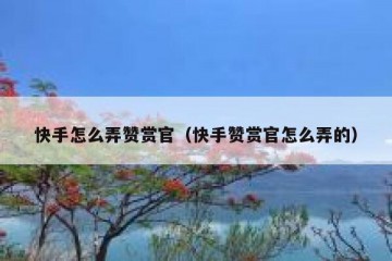 快手怎么弄赞赏官（快手赞赏官怎么弄的）