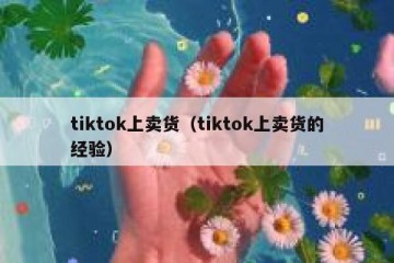 tiktok上卖货（tiktok上卖货的经验）