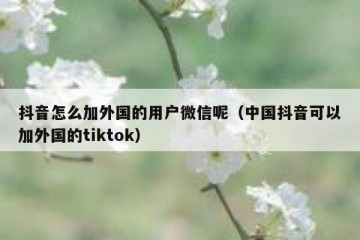 抖音怎么加外国的用户微信呢（中国抖音可以加外国的tiktok）