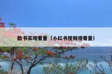 脸书买观看量（小红书视频观看量）