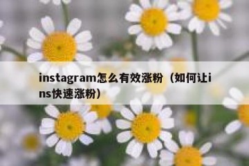 instagram怎么有效涨粉（如何让ins快速涨粉）