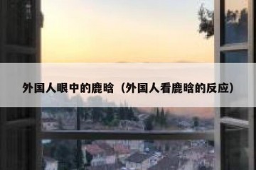 外国人眼中的鹿晗（外国人看鹿晗的反应）
