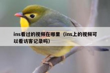 ins看过的视频在哪里（ins上的视频可以看访客记录吗）