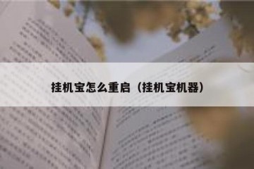 挂机宝怎么重启（挂机宝机器）