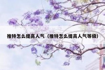 推特怎么提高人气（推特怎么提高人气等级）