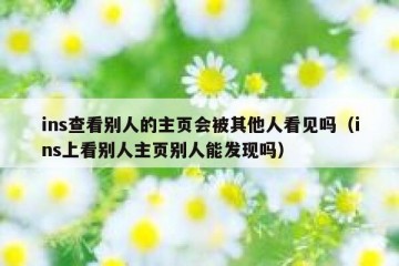 ins查看别人的主页会被其他人看见吗（ins上看别人主页别人能发现吗）