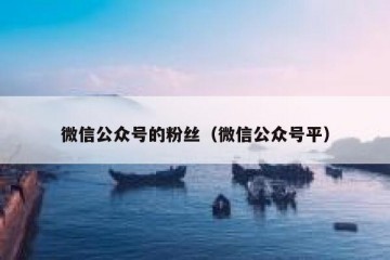 微信公众号的粉丝（微信公众号平）