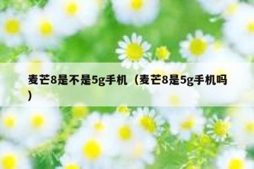 麦芒8是不是5g手机（麦芒8是5g手机吗）