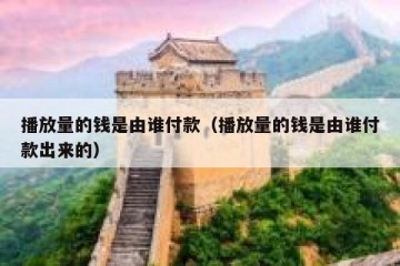 播放量的钱是由谁付款（播放量的钱是由谁付款出来的）