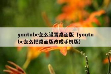 youtube怎么设置桌面版（youtube怎么把桌面版改成手机版）