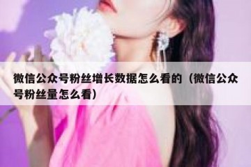 微信公众号粉丝增长数据怎么看的（微信公众号粉丝量怎么看）