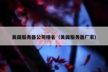 美国服务器公司排名（美国服务器厂家）