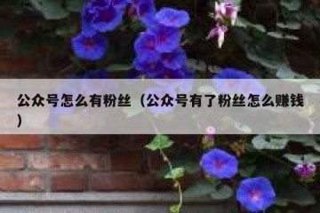 公众号怎么有粉丝（公众号有了粉丝怎么赚钱）