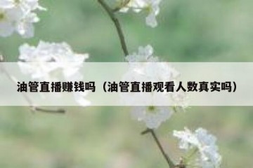 油管直播赚钱吗（油管直播观看人数真实吗）