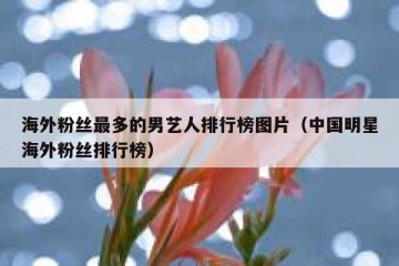 海外粉丝最多的男艺人排行榜图片（中国明星海外粉丝排行榜）