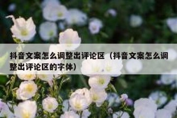 抖音文案怎么调整出评论区（抖音文案怎么调整出评论区的字体）