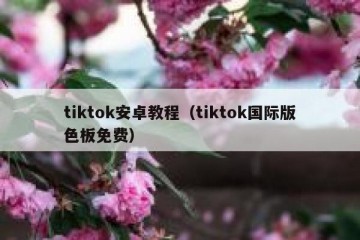 tiktok安卓教程（tiktok国际版色板免费）