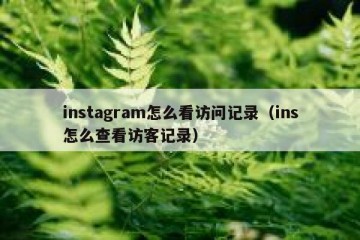 instagram怎么看访问记录（ins怎么查看访客记录）