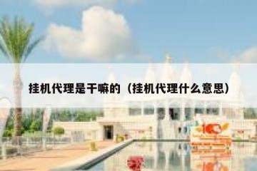 挂机代理是干嘛的（挂机代理什么意思）