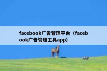 facebook广告管理平台（facebook广告管理工具app）