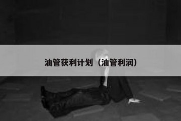 油管获利计划（油管利润）