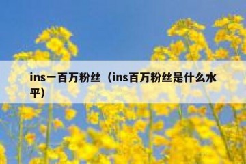 ins一百万粉丝（ins百万粉丝是什么水平）