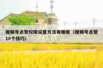 视频号点赞权限设置方法有哪些（视频号点赞10个技巧）
