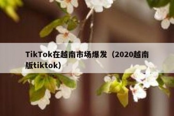 TikTok在越南市场爆发（2020越南版tiktok）