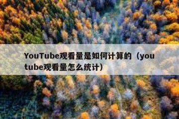 YouTube观看量是如何计算的（youtube观看量怎么统计）