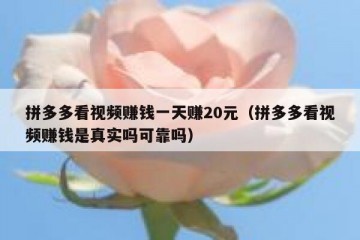 拼多多看视频赚钱一天赚20元（拼多多看视频赚钱是真实吗可靠吗）