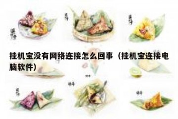 挂机宝没有网络连接怎么回事（挂机宝连接电脑软件）