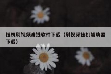 挂机刷视频赚钱软件下载（刷视频挂机辅助器下载）