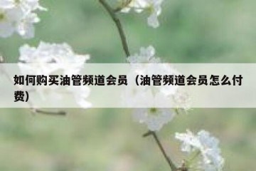 如何购买油管频道会员（油管频道会员怎么付费）