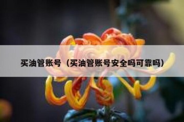 买油管账号（买油管账号安全吗可靠吗）